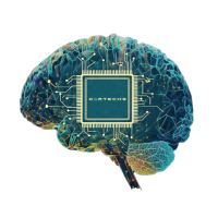IEEE BMSCE